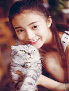 完美真相