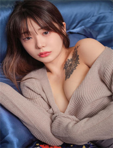 暖暖视频在线观看高清...-王朝案